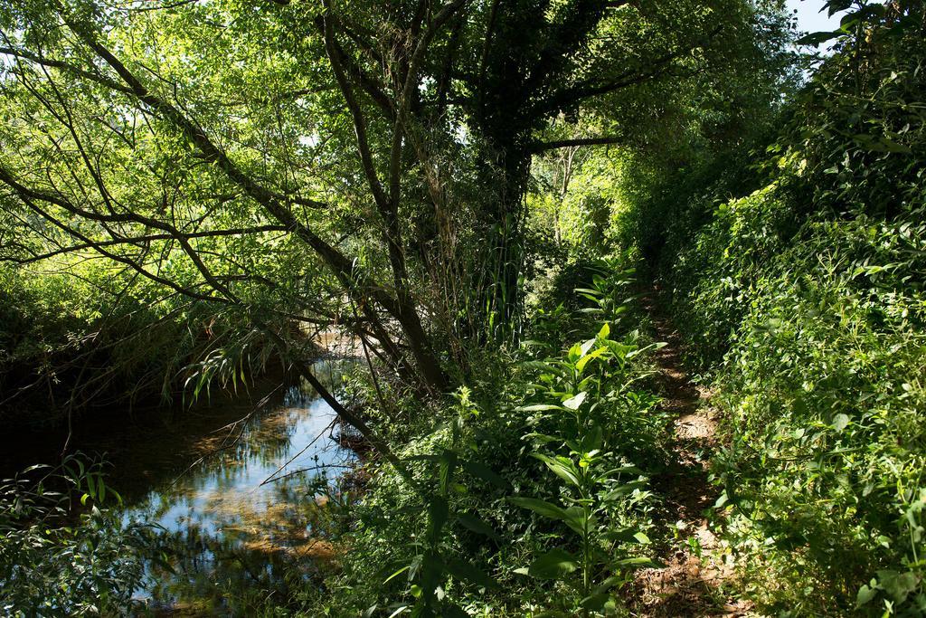 Recanto Da Ribeira Casas De Campo Monchique Kültér fotó