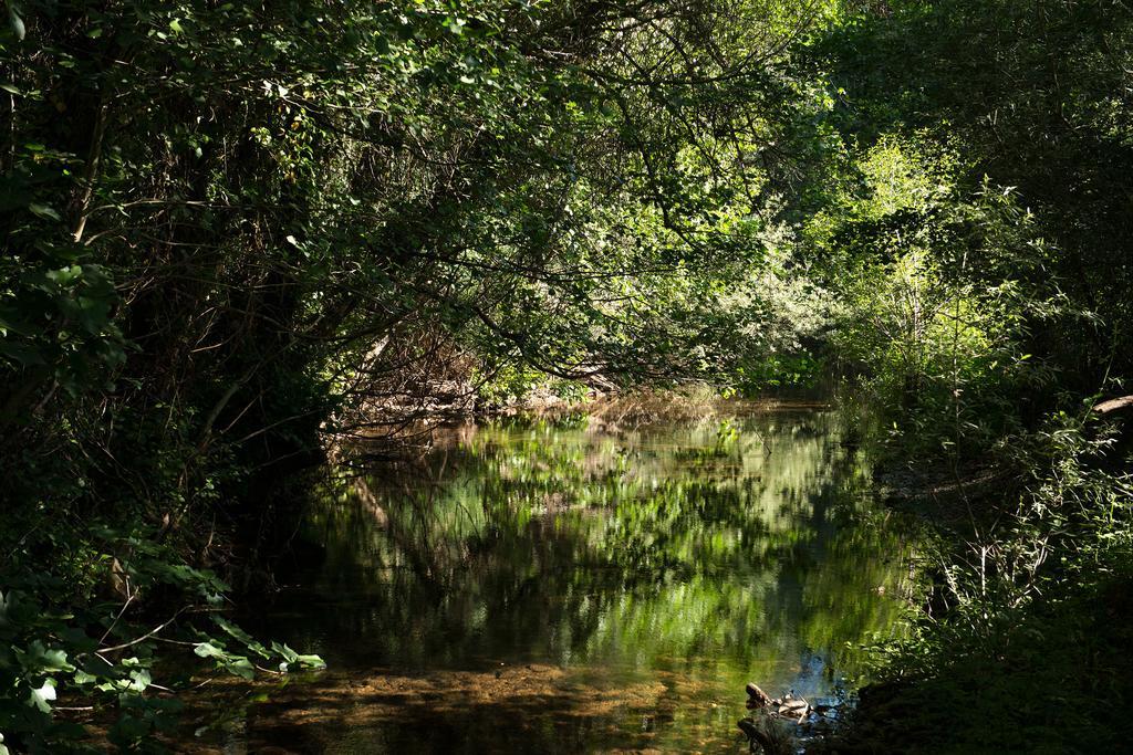 Recanto Da Ribeira Casas De Campo Monchique Kültér fotó